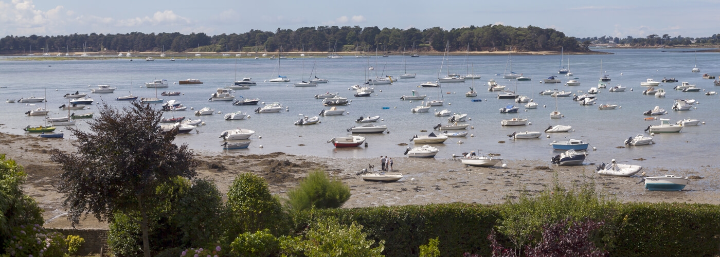 Vue depuis l'hôtel