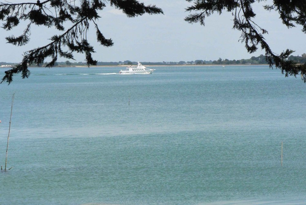 balade en bateau sur le golfe de Baden